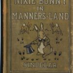 خرید و دانلود نسخه کامل کتاب Nixie Bunny in Manners-Land