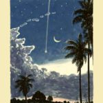 خرید و دانلود نسخه کامل کتاب No Lasting Home: A Year in the Paraguayan Wilderness