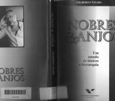 خرید و دانلود نسخه کامل کتاب Nobres & anjos: Um estudo de tóxicos e hierarquia (Portuguese Edition)