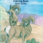 خرید و دانلود نسخه کامل کتاب North American Desert Life Coloring Book