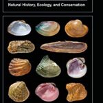 خرید و دانلود نسخه کامل کتاب North American Freshwater Mussels: Natural History, Ecology, and Conservation