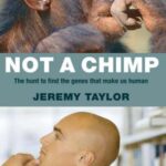 خرید و دانلود نسخه کامل کتاب Not a Chimp. The Hunt to Find the Genes that Made Us Human