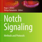 خرید و دانلود نسخه کامل کتاب Notch Signaling: Methods and Protocols
