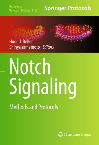 خرید و دانلود نسخه کامل کتاب Notch Signaling: Methods and Protocols_68e968a7549a6.jpeg خرید و دانلود نسخه کامل کتاب Notch Signaling: Methods and Protocols