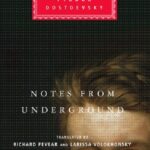 خرید و دانلود نسخه کامل کتاب Notes from Underground