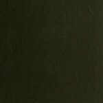 خرید و دانلود نسخه کامل کتاب Notes on the birds of Northamptonshire and neighbourhood. Volume I