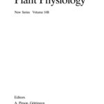 خرید و دانلود نسخه کامل کتاب Nucleic Acids and Proteins in Plants II: Structure, Biochemistry and Physiology of Nucleic Acids