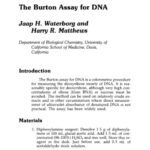 خرید و دانلود نسخه کامل کتاب Nucleic Acids