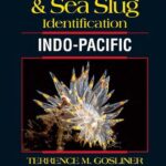 خرید و دانلود نسخه کامل کتاب Nudibranch & Sea Slug Identification – Indo-Pacific- 2nd Edition