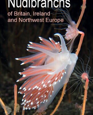 خرید و دانلود نسخه کامل کتاب Nudibranchs of Britain, Ireland and Northwest Europe