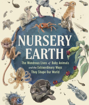 خرید و دانلود نسخه کامل کتاب Nursery Earth. The wondrous lives of baby animals and the extraordinary ways they shape our world