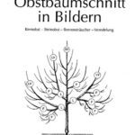 خرید و دانلود نسخه کامل کتاب Obstbaumschnitt in Bildern: Kernobst, Steinobst, Beerensträucher, Veredeleung