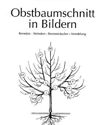 خرید و دانلود نسخه کامل کتاب Obstbaumschnitt in Bildern: Kernobst, Steinobst, Beerensträucher, Veredeleung