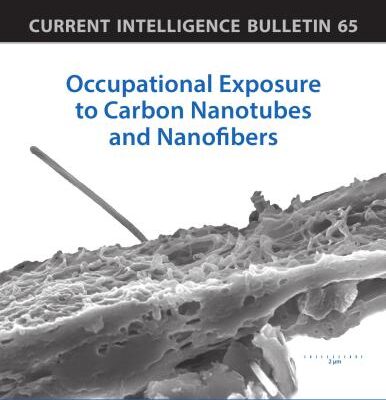 خرید و دانلود نسخه کامل کتاب Occupational Exposure to Carbon Nanotubes and Nanofibers