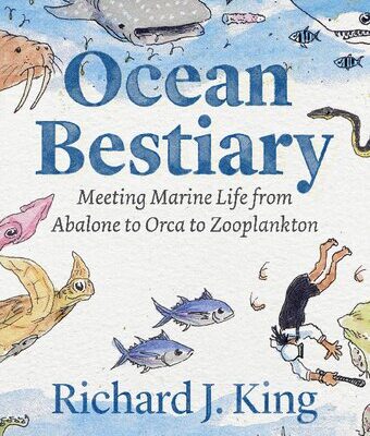 خرید و دانلود نسخه کامل کتاب Ocean Bestiary: Meeting Marine Life from Abalone to Orca to Zooplankton
