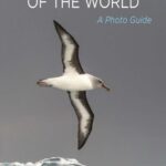 خرید و دانلود نسخه کامل کتاب Oceanic Birds of the World: A Photo Guide