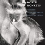 خرید و دانلود نسخه کامل کتاب Old World Monkeys
