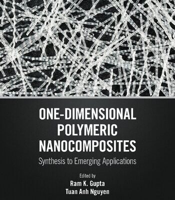 خرید و دانلود نسخه کامل کتاب One-Dimensional Polymeric Nanocomposites: Synthesis to Emerging Applications