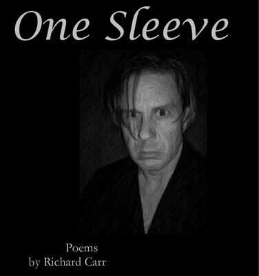 خرید و دانلود نسخه کامل کتاب One Sleeve