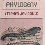 خرید و دانلود نسخه کامل کتاب Ontogeny and Phylogeny