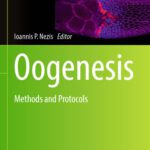خرید و دانلود نسخه کامل کتاب Oogenesis: Methods and Protocols