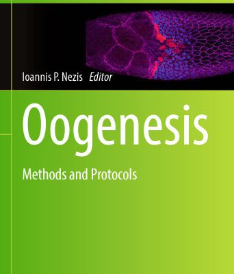 خرید و دانلود نسخه کامل کتاب Oogenesis: Methods and Protocols