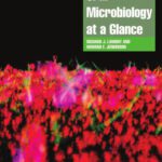 خرید و دانلود نسخه کامل کتاب Oral Microbiology at a Glance