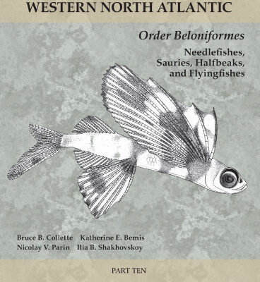 خرید و دانلود نسخه کامل کتاب Order Beloniformes: Needlefishes, Sauries, Halfbeaks, and Flyingfishes: Part 10