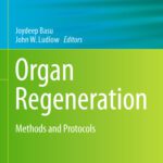 خرید و دانلود نسخه کامل کتاب Organ Regeneration: Methods and Protocols