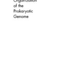 خرید و دانلود نسخه کامل کتاب Organization of the Prokaryotic Genome