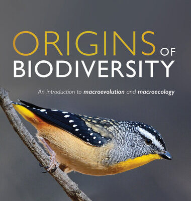 خرید و دانلود نسخه کامل کتاب Origins of Biodiversity : An Introduction to Macroevolution and Macroecology