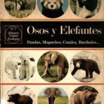 خرید و دانلود نسخه کامل کتاب Osos y elefantes