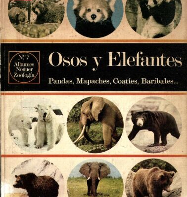 خرید و دانلود نسخه کامل کتاب Osos y elefantes