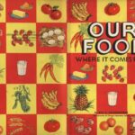 خرید و دانلود نسخه کامل کتاب Our Food – Where It Comes from