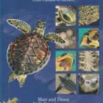 خرید و دانلود نسخه کامل کتاب Our Sea Turtles: A Practical Guide for the Atlantic and Gulf, from Canada to Mexico