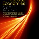 خرید و دانلود نسخه کامل کتاب Outlook for Producer Economies 2018