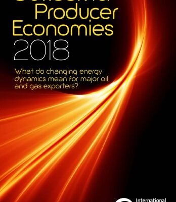 خرید و دانلود نسخه کامل کتاب Outlook for Producer Economies 2018