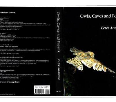 خرید و دانلود نسخه کامل کتاب Owls, Caves and Fossils