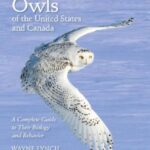 خرید و دانلود نسخه کامل کتاب Owls of the United States and Canada: A Complete Guide to Their Biology and Behavior