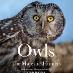 خرید و دانلود نسخه کامل کتاب Owls: The Majestic Hunters