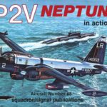خرید و دانلود نسخه کامل کتاب P2V Neptune in action