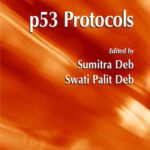 خرید و دانلود نسخه کامل کتاب p53 Protocols