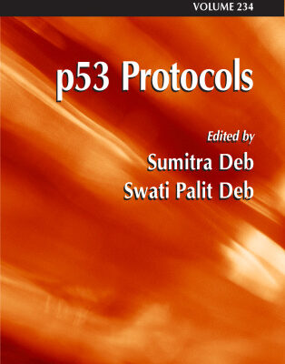 خرید و دانلود نسخه کامل کتاب p53 Protocols