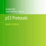 خرید و دانلود نسخه کامل کتاب p53 Protocols