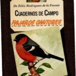 خرید و دانلود نسخه کامل کتاب Pájaros cantores