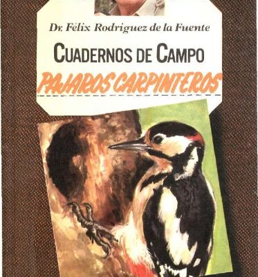 خرید و دانلود نسخه کامل کتاب Pájaros carpinteros