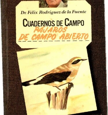 خرید و دانلود نسخه کامل کتاب Pájaros de campo abierto