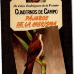 خرید و دانلود نسخه کامل کتاب Pájaros de la marisma