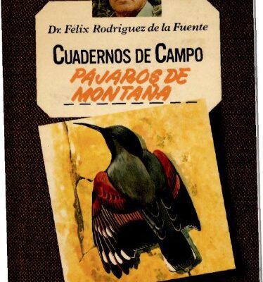 خرید و دانلود نسخه کامل کتاب Pájaros de la montaña