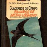 خرید و دانلود نسخه کامل کتاب Pájaros de medio urbano